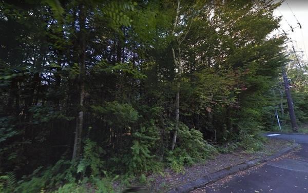 384 m² land in Narusawa, Minamitsuru District, Yamanashi - Photo 1