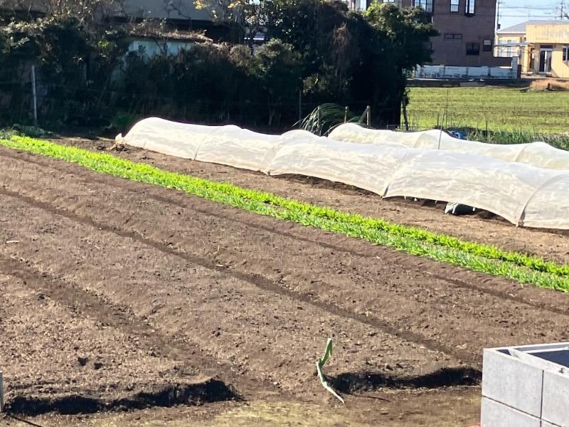 Large Residential Land Near Godai Station - Photo 1
