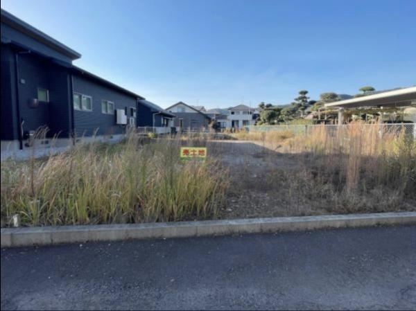 Property - Photo 1