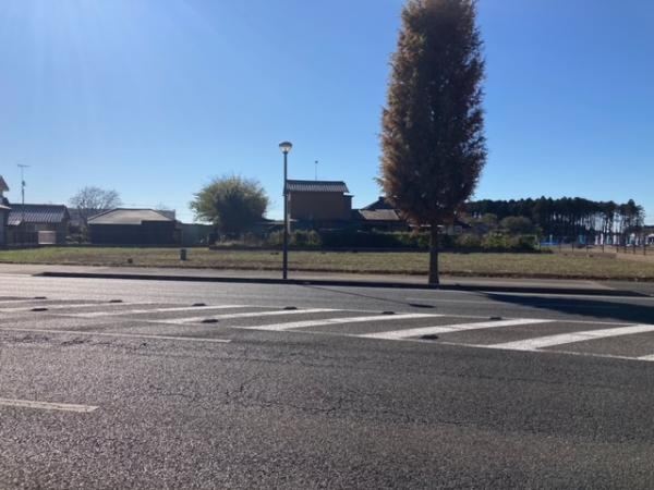 Large Commercial Land with Visibility - Photo 1