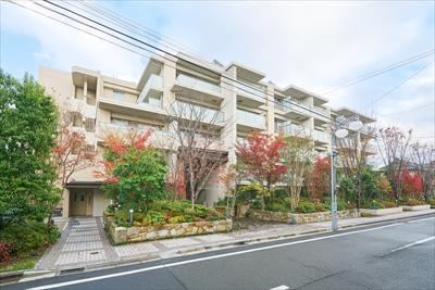 Spacious 4LDK Apartment with Terrace in Setagaya - Photo 1