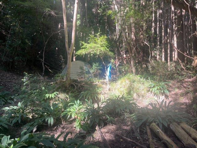 3734 m² land in Isumi, Chiba - Photo 1