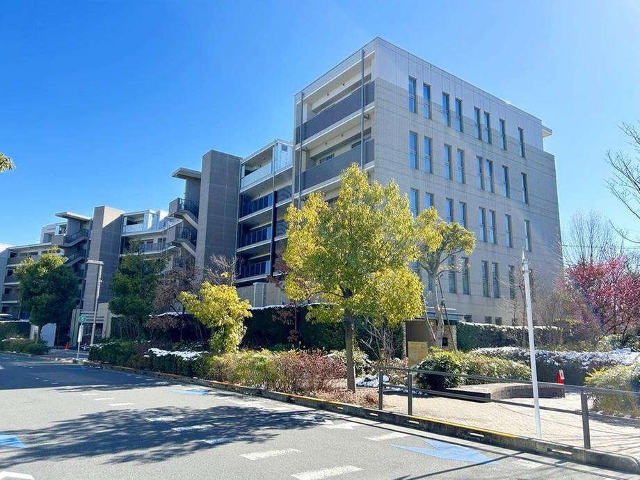 Pet-Friendly 3LDK Apartment in Suginami - Photo 1
