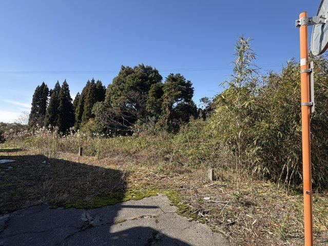 Property - Photo 1