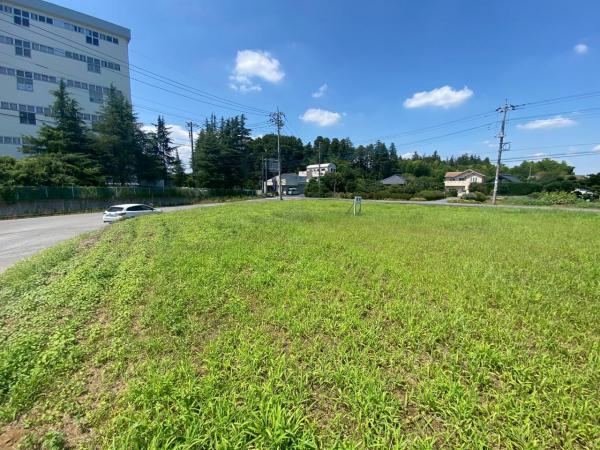 Business Land Near Route 355 - Photo 1