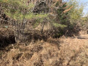 plot of land in Mizunami