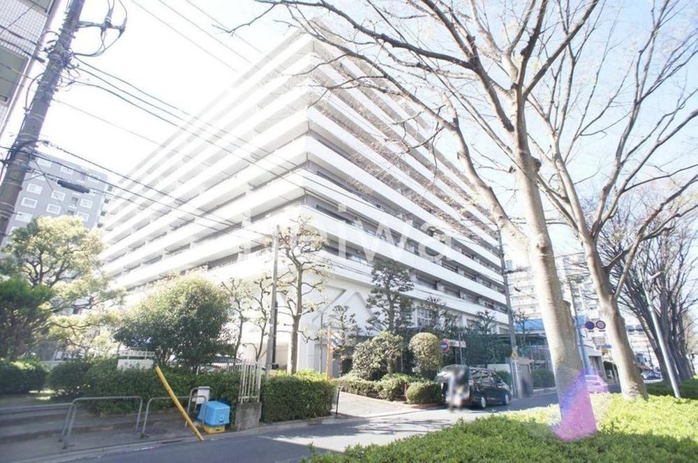Newly Renovated 3LDK Apartment with Modern Amenities - Photo 1