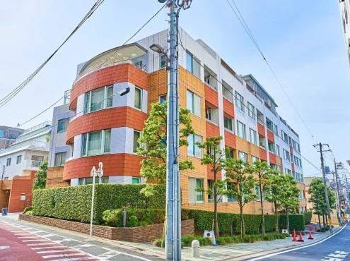 Renovated 3LDK Apartment in Jiyugaoka - Photo 1