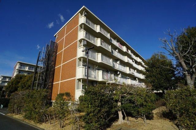 Bright 3LDK Apartment with Dual Balconies - Photo 1