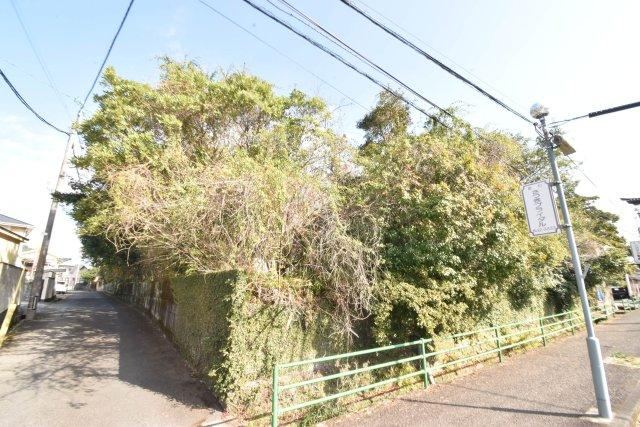 Property - Photo 1