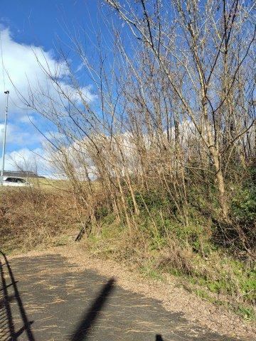 491 m² land in Gifu, Gifu - Photo 1