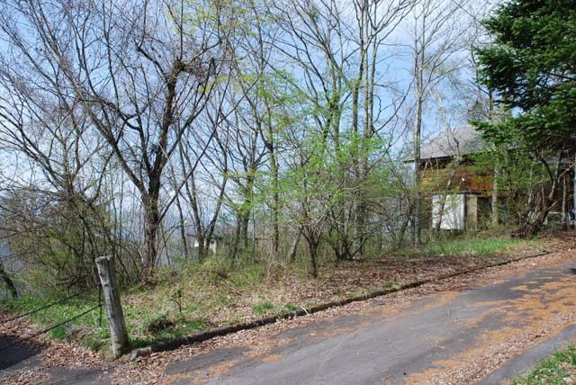 367 m² land in Karuizawa, Kitasaku District, Nagano - Photo 1