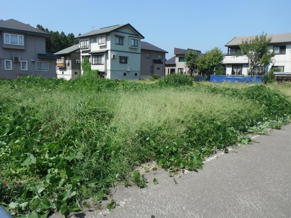 Well-Organized Land in Himekawara North - Photo 1