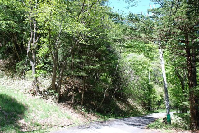 800 m² land in Karuizawa, Kitasaku District, Nagano - Photo 1