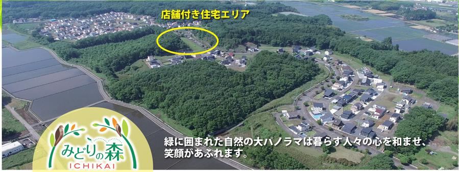 Land for Mixed Residential and Commercial Use - Photo 1
