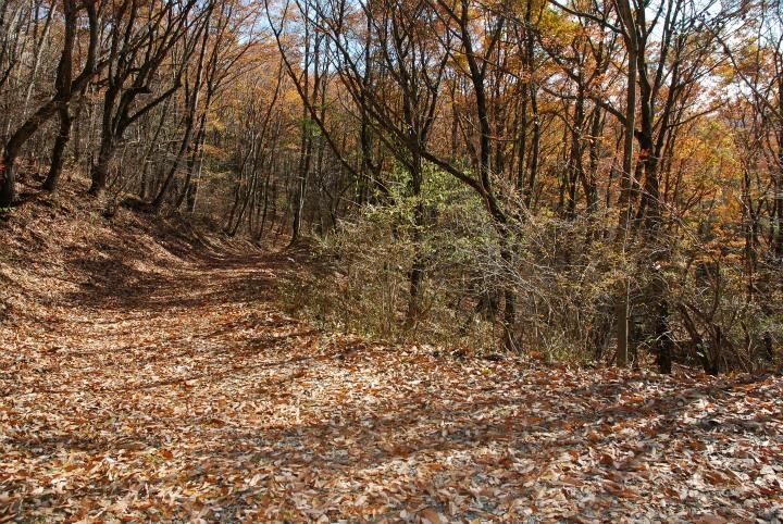 2252 m² land in Karuizawa, Kitasaku District, Nagano - Photo 1