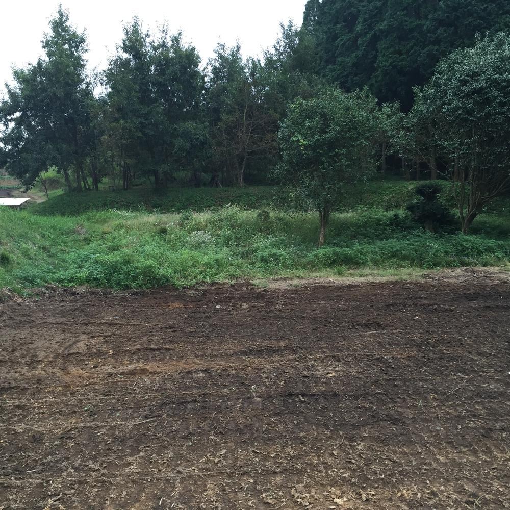 Property - Photo 1
