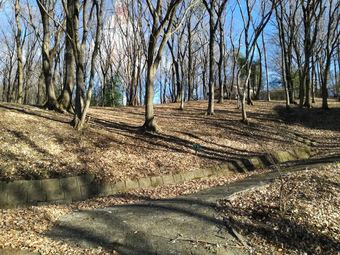 plot of land in Midori
