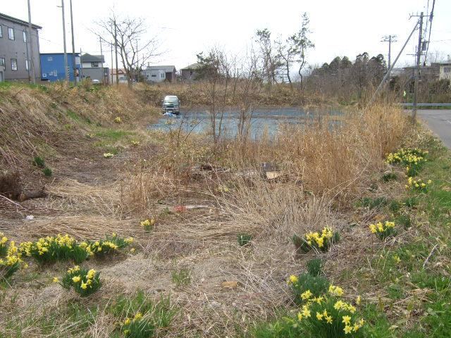 Large Land in Zenigame-cho, Hakodate - Photo 1