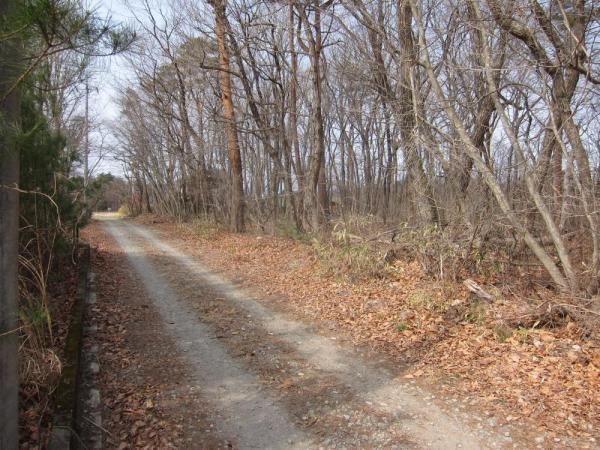 Sunny Land in Torinome, Nasushiobara - Photo 1