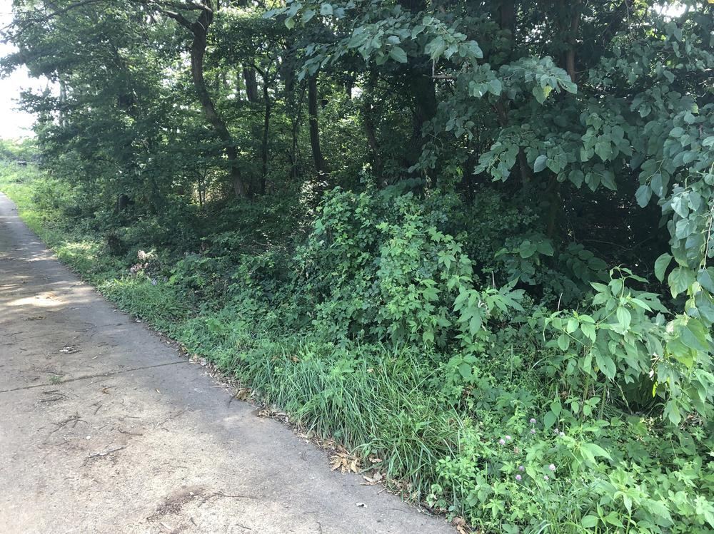 330 m² land in Tomi, Nagano - Photo 1