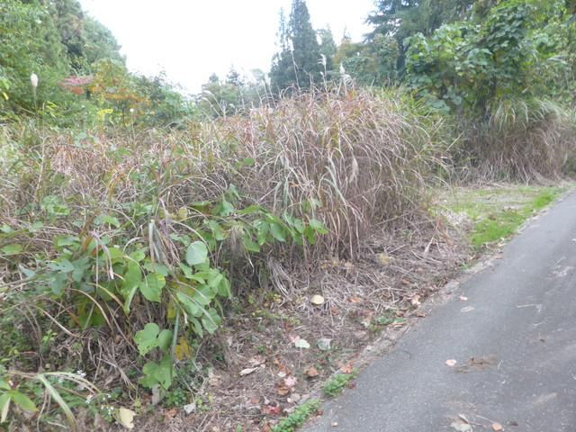 1603 m² land in Uozu, Toyama - Photo 1