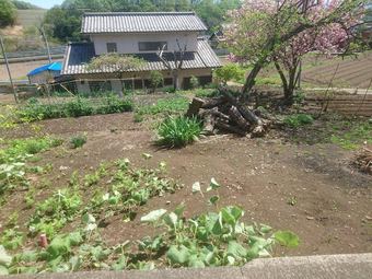 plot of land in Tomioka