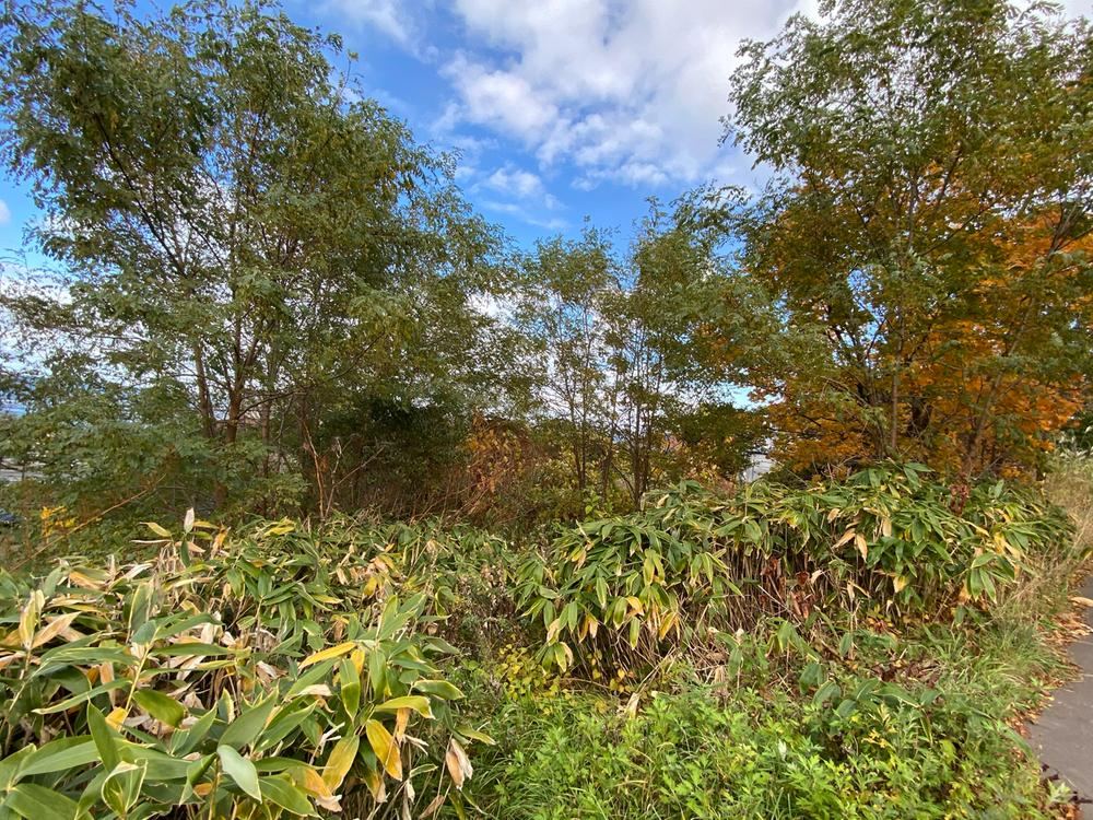 Spacious Land with Ocean Views in Otaru - Photo 1