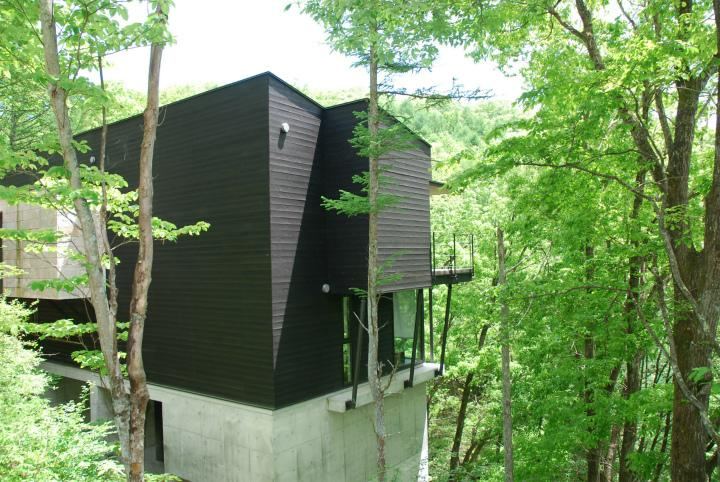Beautifully Managed Home with Elevator - Photo 1