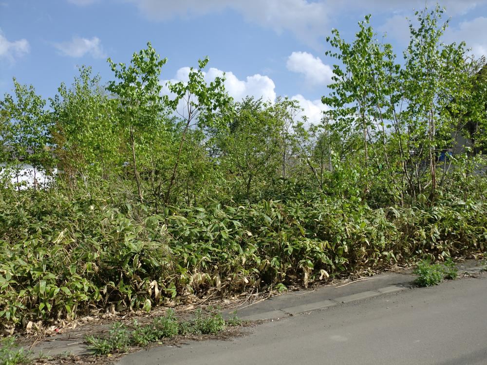 Land in Shunkodai 5-jo - Photo 1