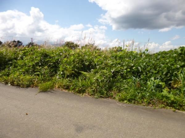 Affordable Land in Aomori City - Photo 1