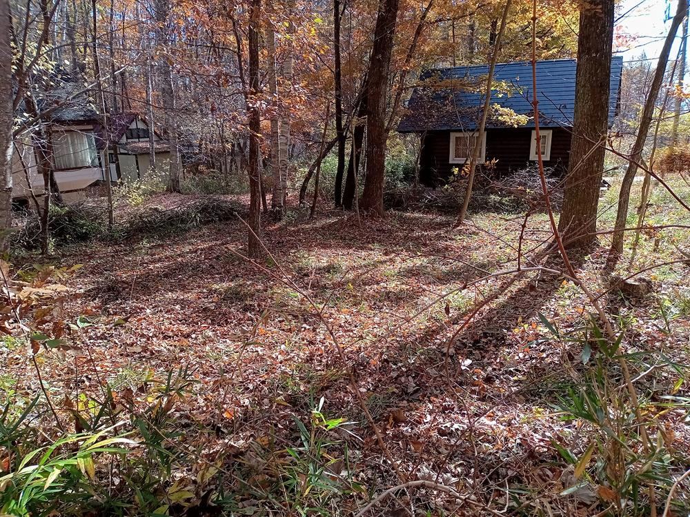 Property - Photo 1