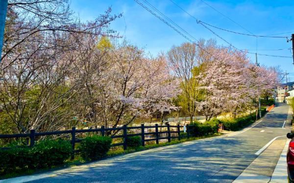 135 m² land in Midori Ward, Nagoya, Aichi - Photo 1
