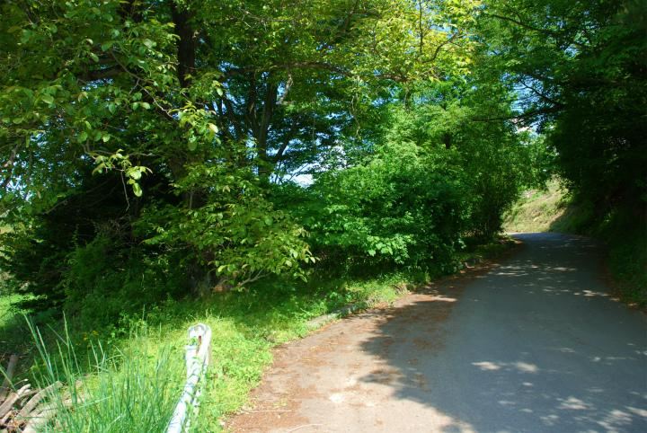 340 m² land in Komoro, Nagano - Photo 1