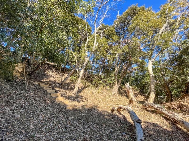 Property - Photo 1