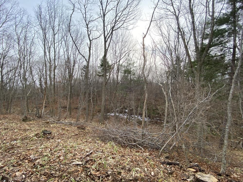 Spacious Land with Mountain Views in Tomakomai - Photo 1